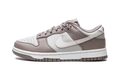 DUNK LOW WMNS "Moon Fossil" FD0792 001