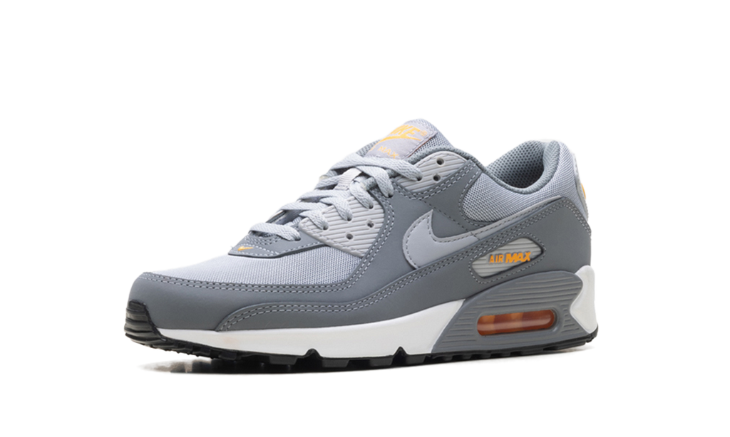 Air Max 90 "Cool Grey Sundial" HV6224 002