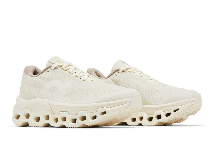 INVINCIBLE x Wmns Cloudmonster 2 'Deconstructed Perfection'