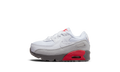 Air Max 90 TD "White Flat Pewter" CD6868 116