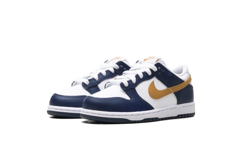 Dunk Low "Navy" FB9108 111