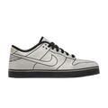 Nike Dunk SE 6.0 'Delorean'