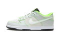 Dunk Low UO P "Oregon" FQ7260 001