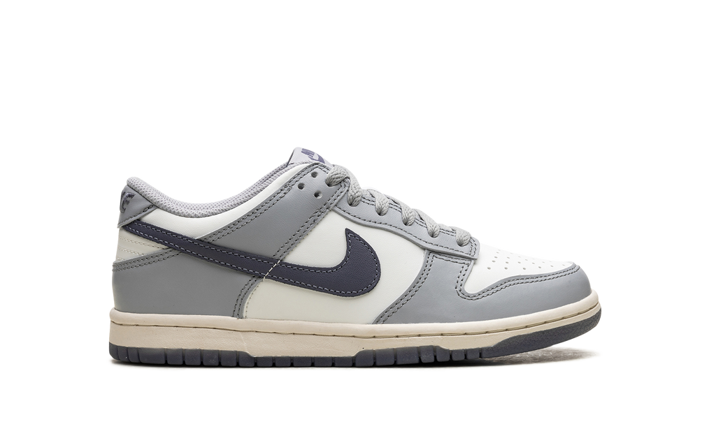Dunk Low "Light Carbon" FB9109 101
