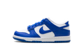 Dunk Low GS "Kentucky" FB9109 131