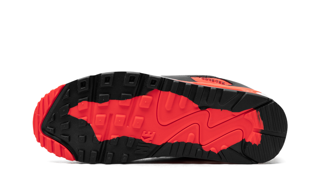 Air Max 90 Gore-Tex "Infrared" FD5810 101