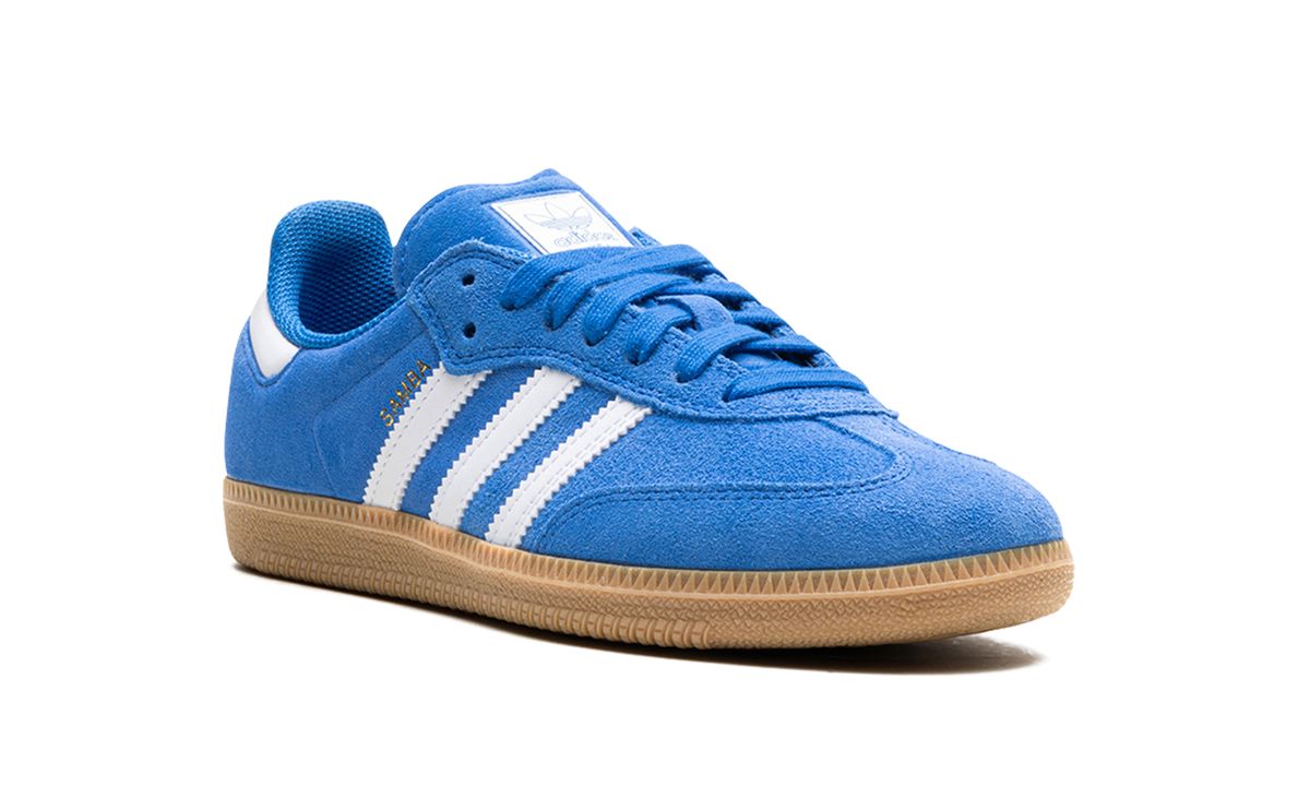 Samba Adv "Blue Bird" JP5719