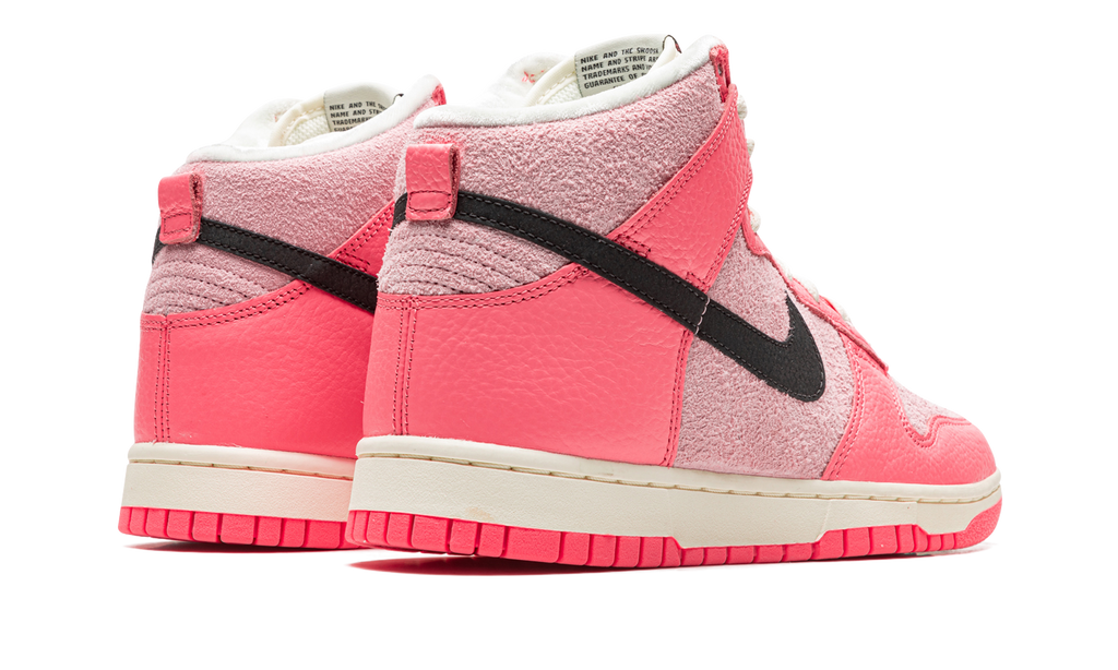 DUNK HIGH WMNS "Hoops Pack Pink" DX3359 600