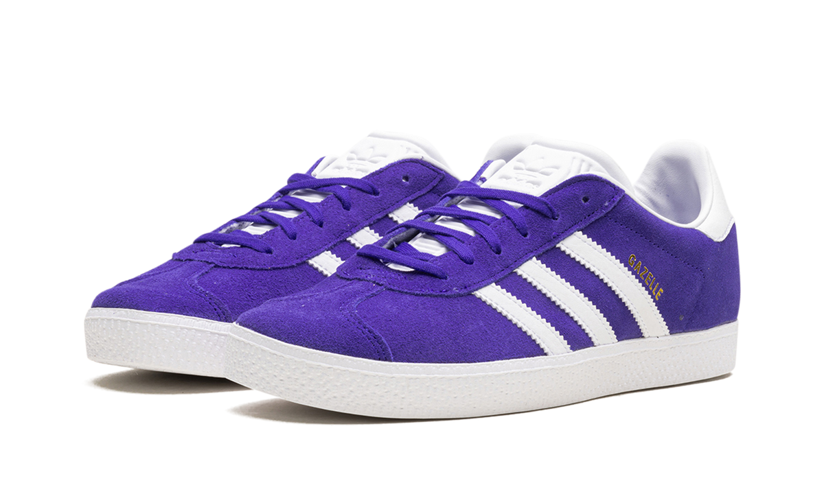Gazelle GS "Energy Ink" IE5597