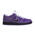 Concepts x Nike Dunk Low SB 'Purple Lobster' Special Box