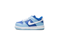 Dunk Low Retro QS TDE "Argon TD" DV2634 400