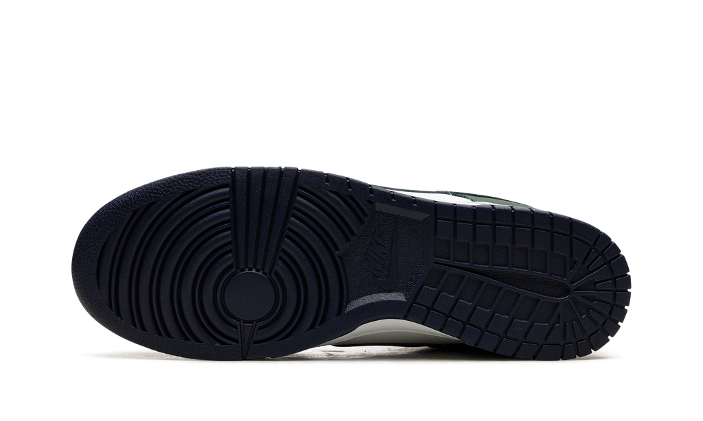 Dunk Low "Fir" FV6911 300