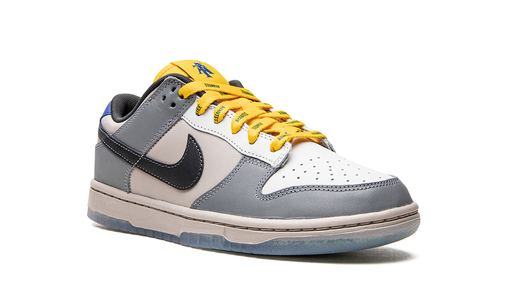 Dunk Low NCAT "North Carolina A&T" DR6187 001