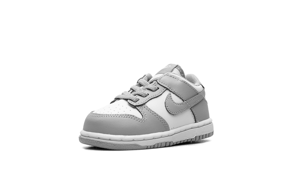 Dunk Low TD "Light Smoke Grey" FB9107 123
