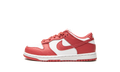 Dunk Low "Gypsy Rose" DC9564 111