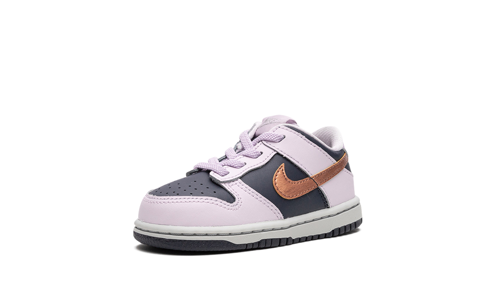 Dunk Low TD "Copper Swoosh" DX1665 400