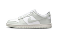 Dunk Low "White Light Smoke Grey (GS)" FB9109 124