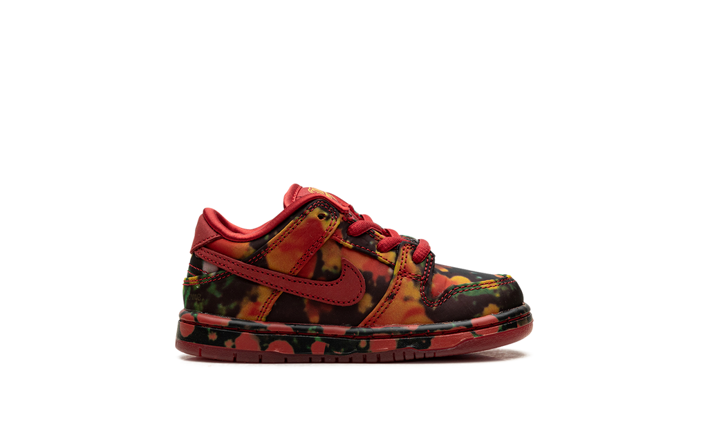 SB Dunk Low TD "The Wizard Of Oz" FZ1237 600