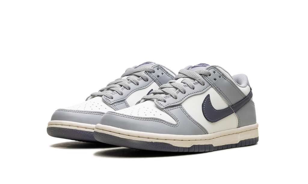 Dunk Low "Light Carbon" FB9109 101