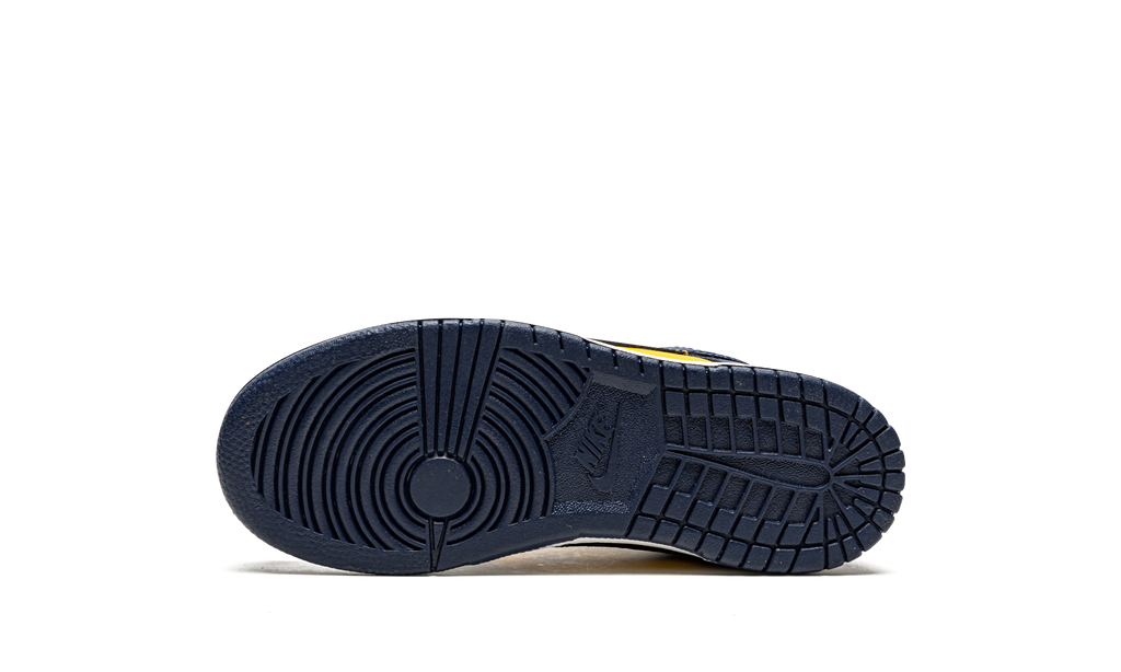 Dunk Low PS "Michigan" CW1588 700