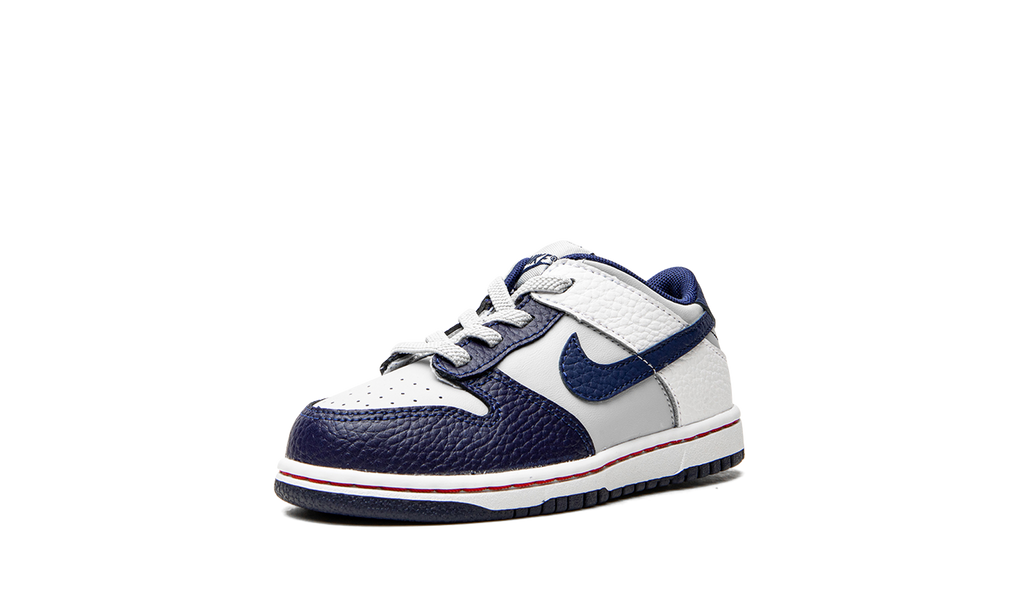 Dunk Low TD "Nets" DC9562 001