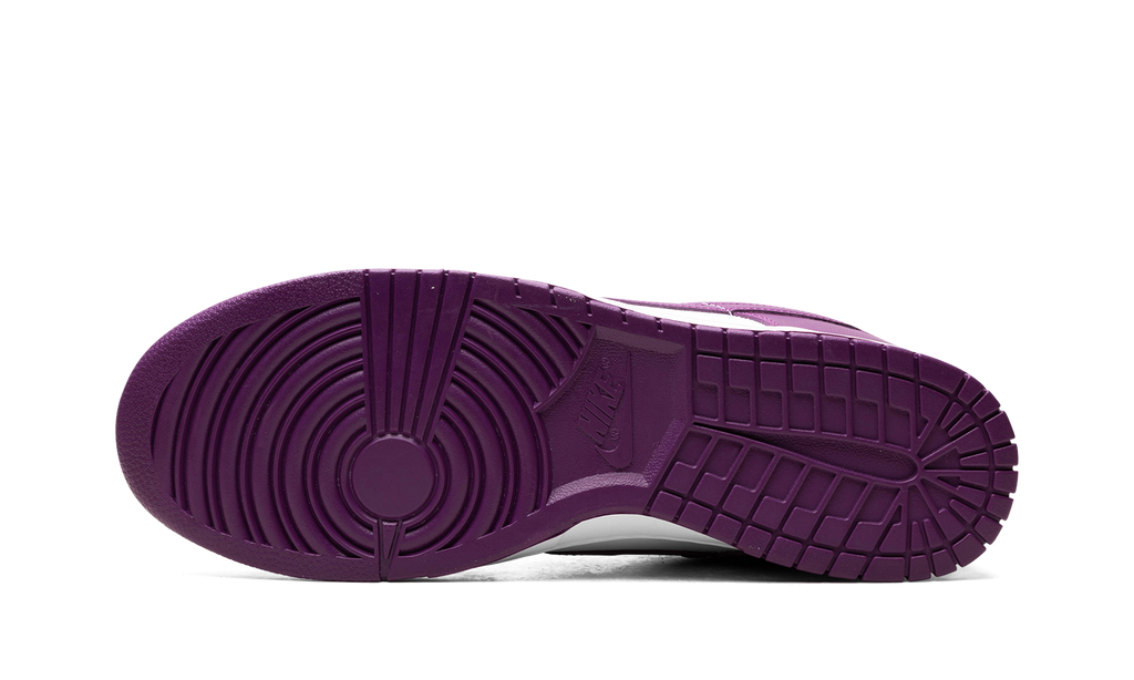 Dunk Low "Viotech" DV0833 107