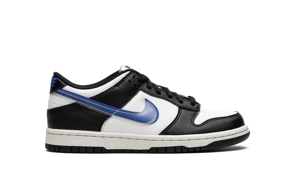 Dunk Low Next Nature GS "TPU Swoosh" FD0689 001