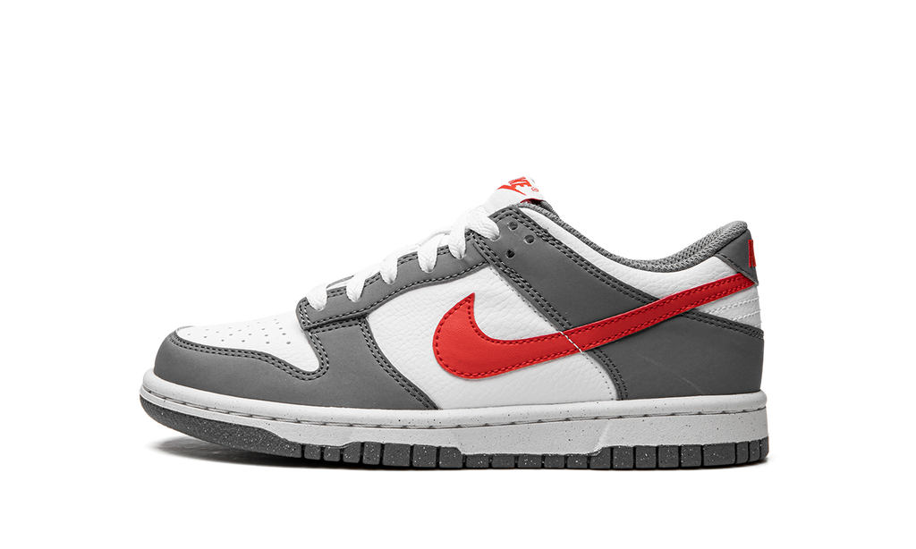 Dunk Low Next Nature GS "Smoke Grey" FB8038 001