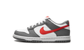 Dunk Low Next Nature GS "Smoke Grey" FB8038 001