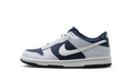 Dunk Low "Football Grey / Midnight Navy" FB9109 002