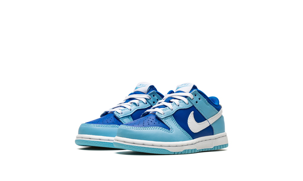 Dunk Low PS "Argon" DV2635 400