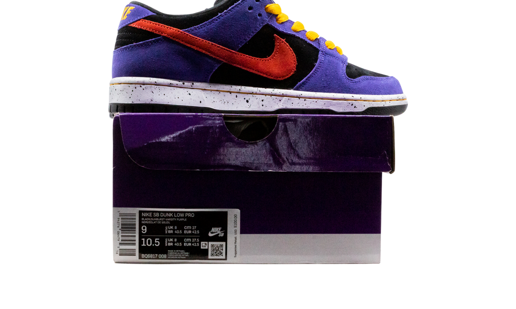 SB Dunk Low "ACG Terra" BQ6817 008