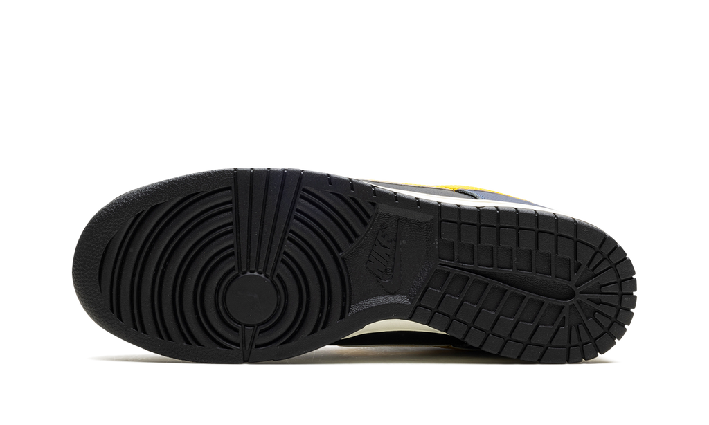 Dunk Low Vintage "Michigan" FZ4014 010