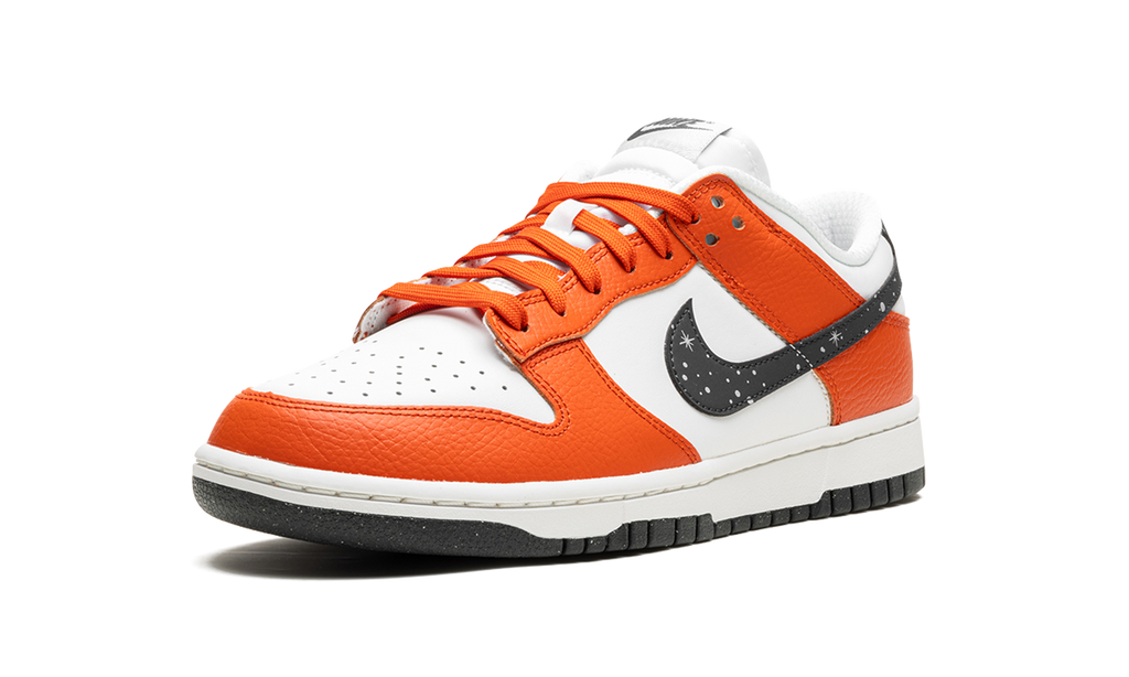 Dunk Low "Night Sky" FV6909 800