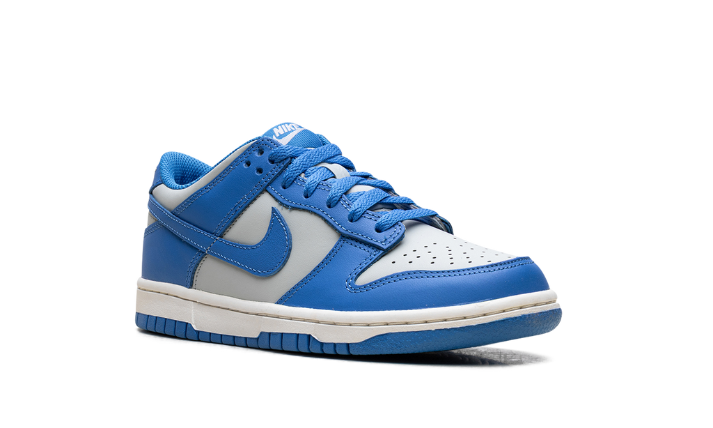 Dunk Low GS "Light Photo Blue" FB9109 004