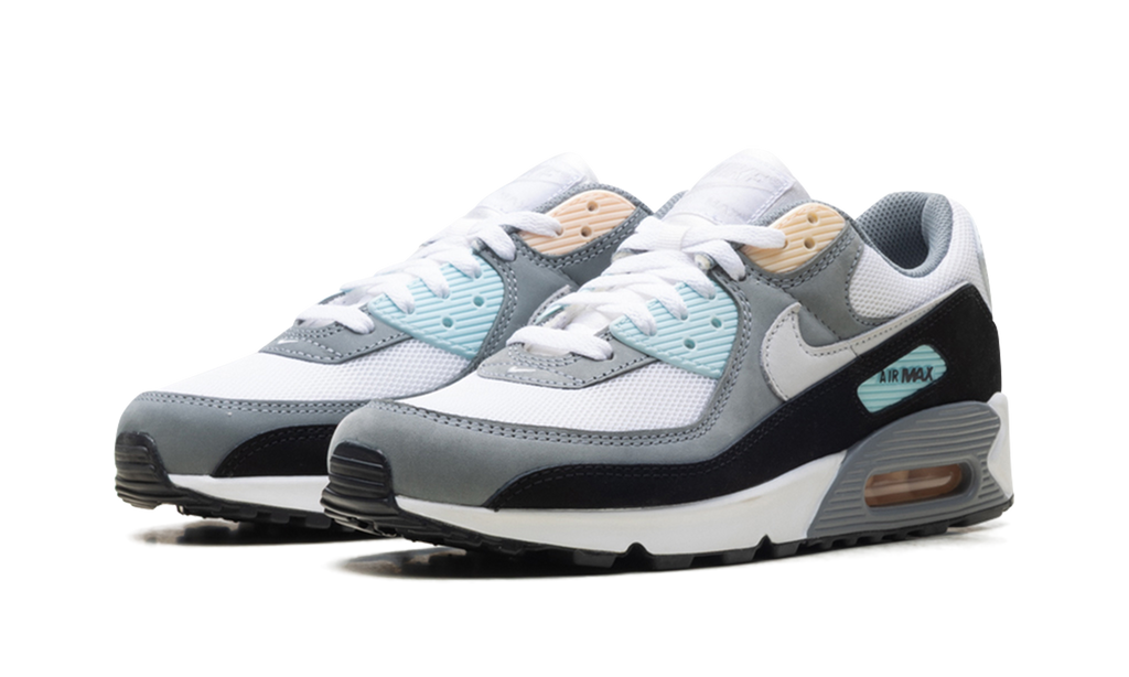 Air Max 90 "Cool Grey Pure Platinum Black" IB7674 001