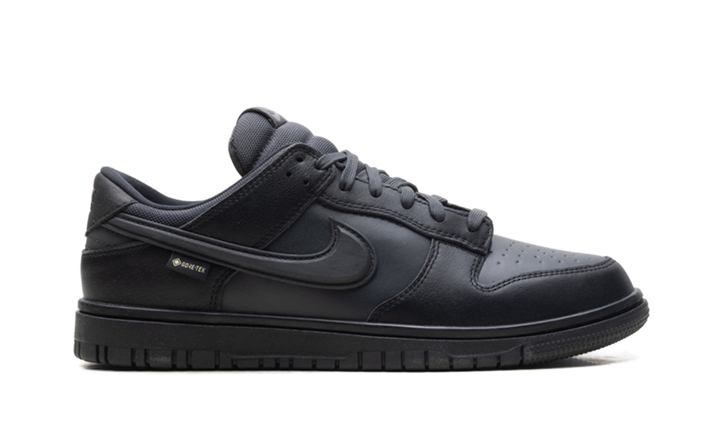Dunk Low Gore-Tex "Triple Black" HQ2053 001