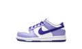 Dunk Low PS "Blueberry" DZ4457 100