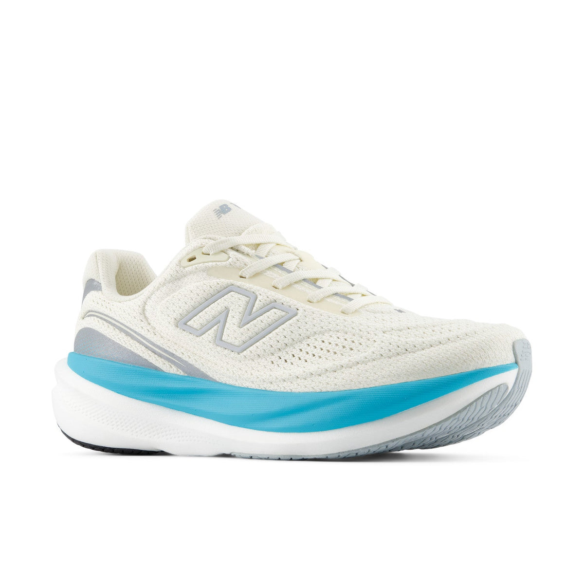New Balance 1080v15 (W10805VJ) Women's