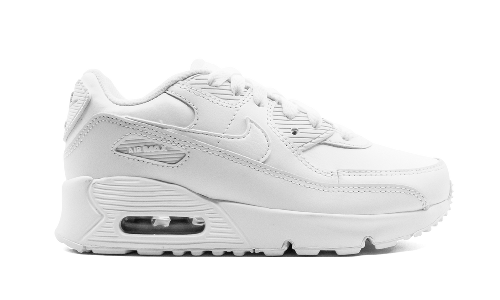 Air Max 90 CD6867 100