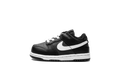 Dunk Low TD "Black Panda" DH9761 002