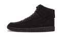 Dunk Lux SP "DSM" 718766 001