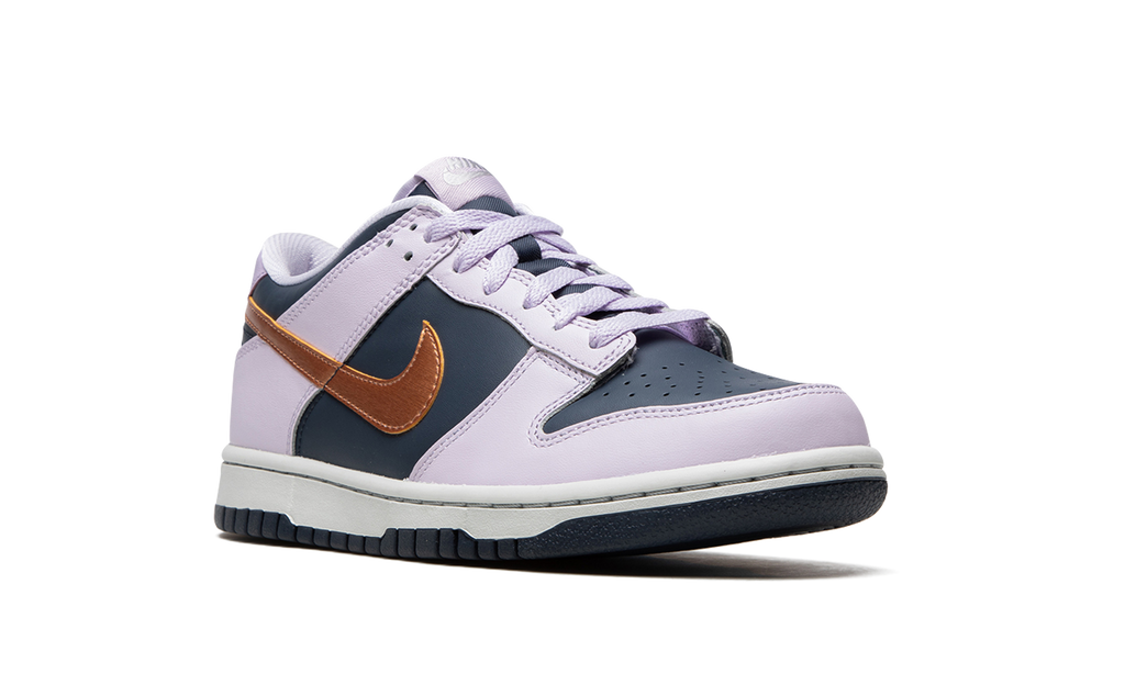 Dunk Low Se "Copper Swoosh" DX1663 400