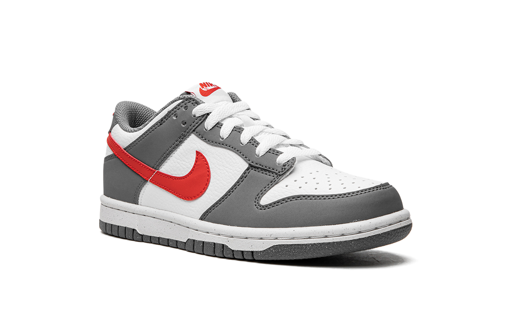 Dunk Low Next Nature GS "Smoke Grey" FB8038 001