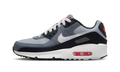 Air Max 90 GS "Wolf Gray / White" HF6358 007