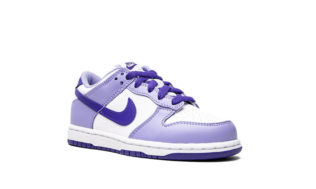 Dunk Low PS "Blueberry" DZ4457 100