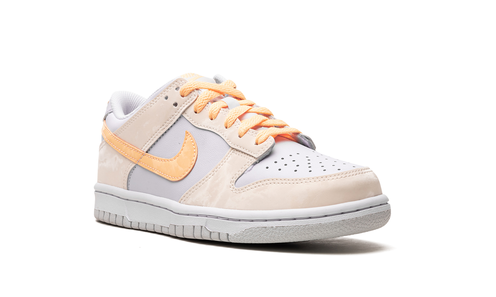 Dunk Low GS "Blue / Yellow" FB9109 100