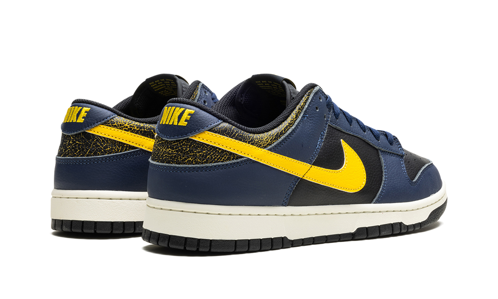 Dunk Low Vintage "Michigan" FZ4014 010