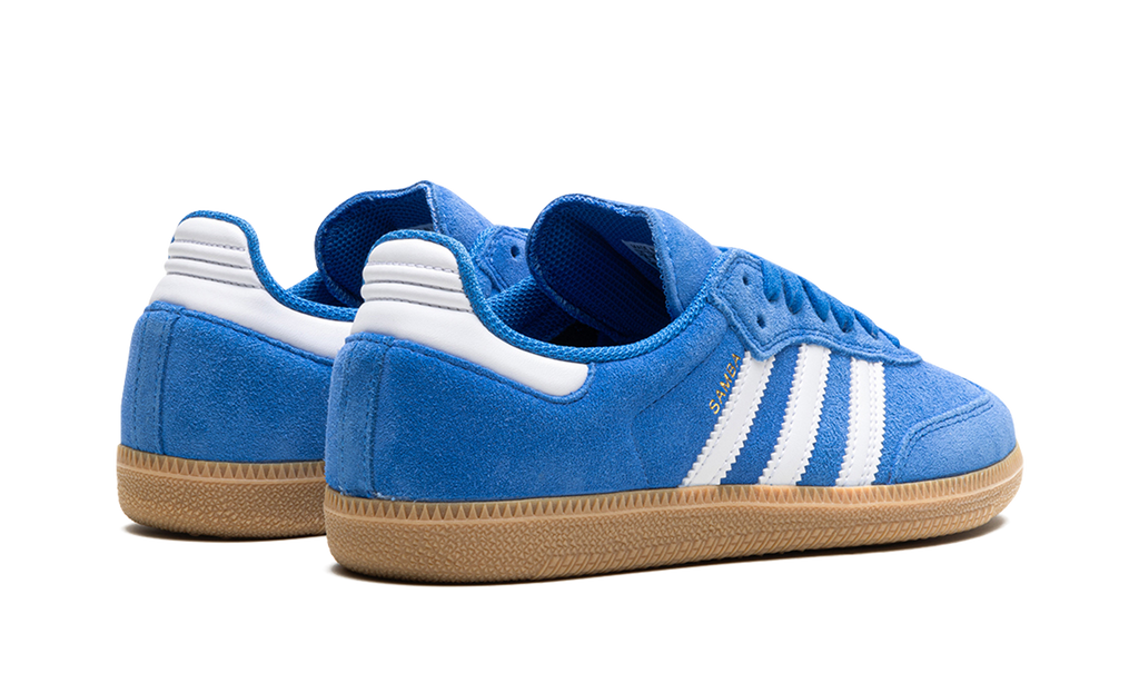 Samba Adv "Blue Bird" JP5719