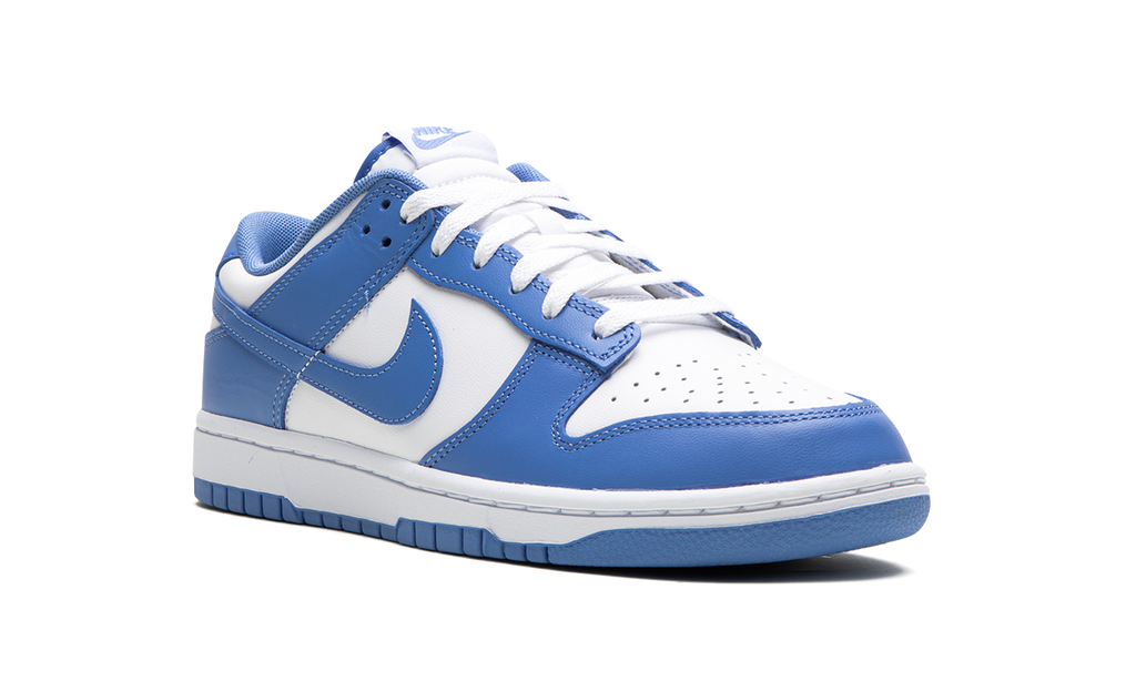 Dunk Low "Polar Blue / White" DV0833 400